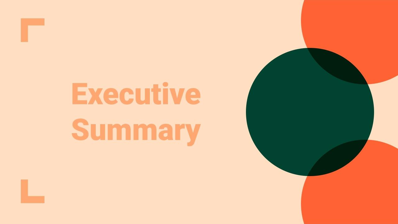 橙灰欧美风市场营销方案英文PPT模板-Executive Summary