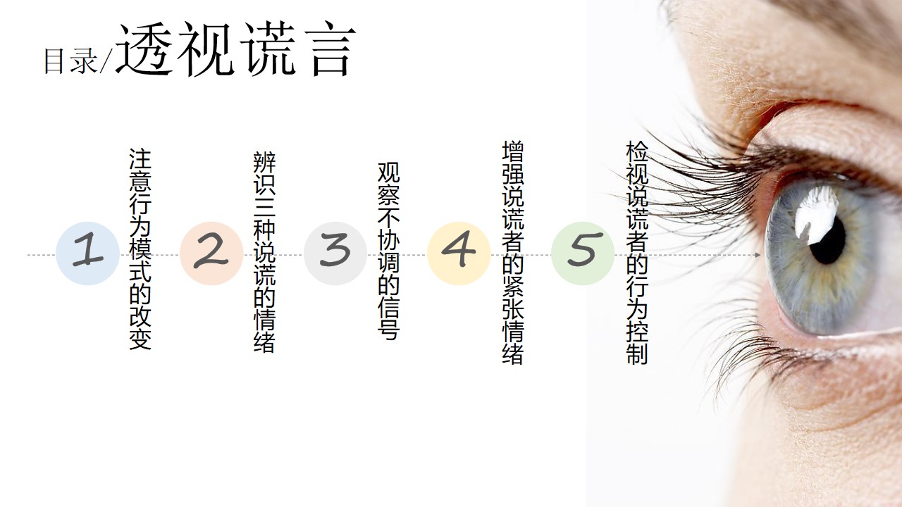 《透视谎言》读书笔记PPT范文/PPT案例-undefined