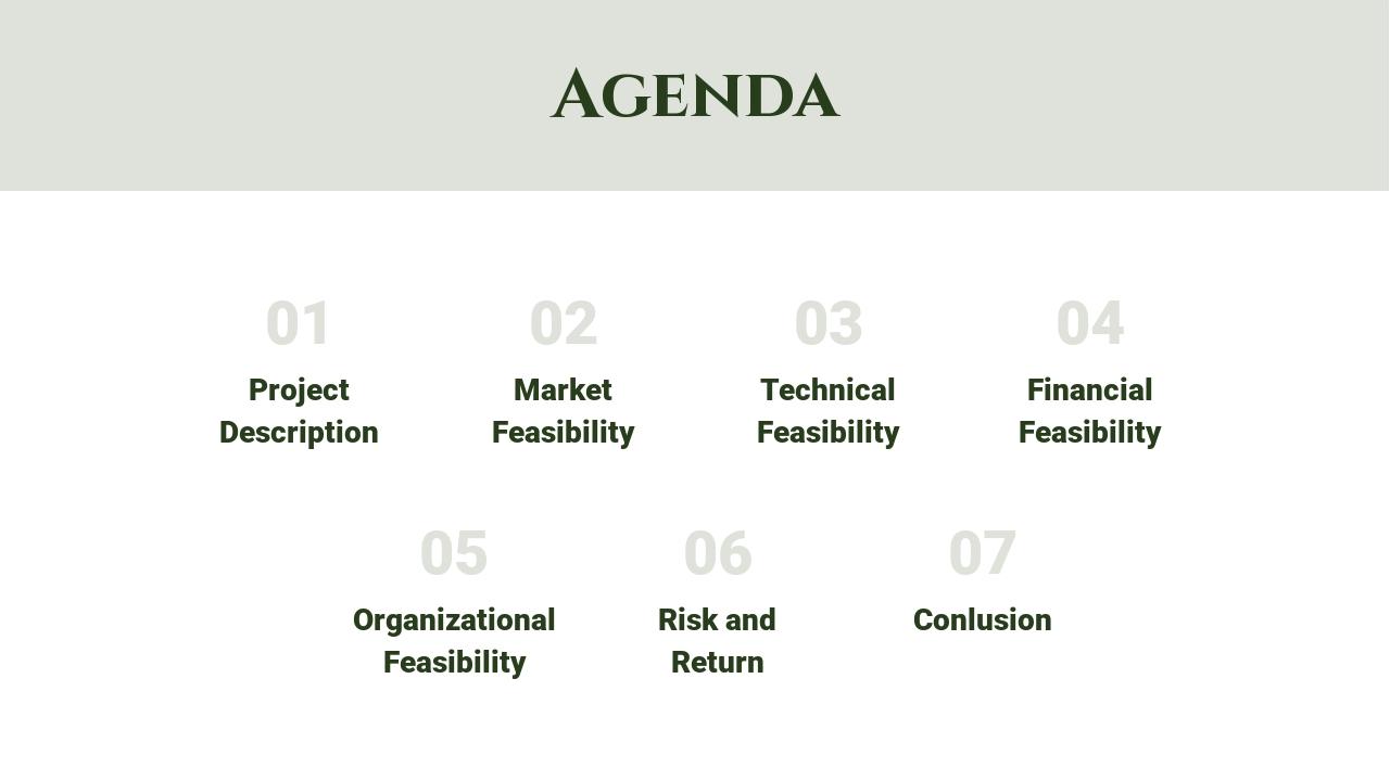 软件可行性分析研究报告PPT模板-Agenda