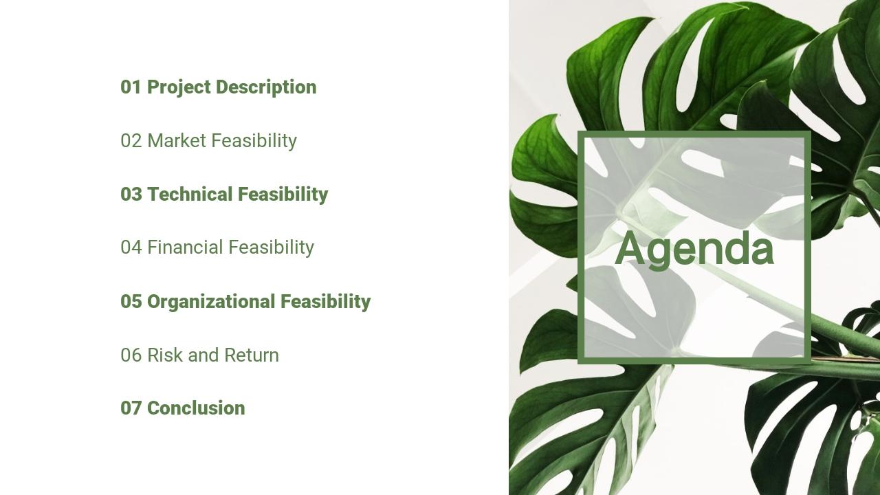 绿色植物家居生活可行性研究报告-Agenda