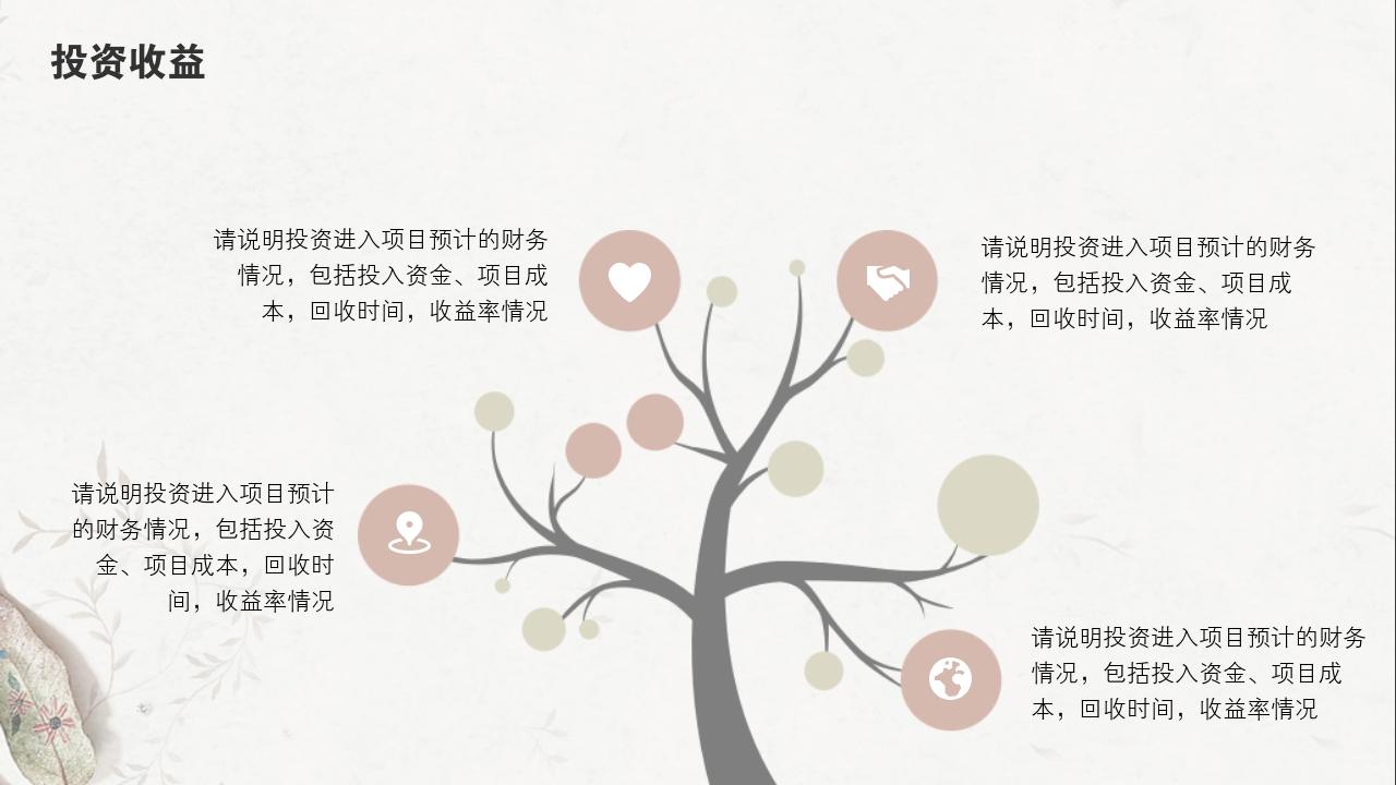 淡红树叶项目可行性研究PPT模版-投资收益
