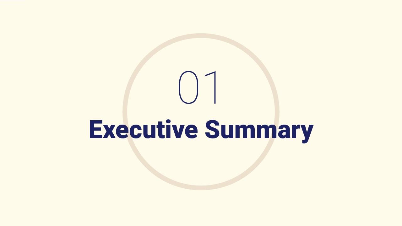 出海项目融资商业计划书英文PPT模板-Executive Summary