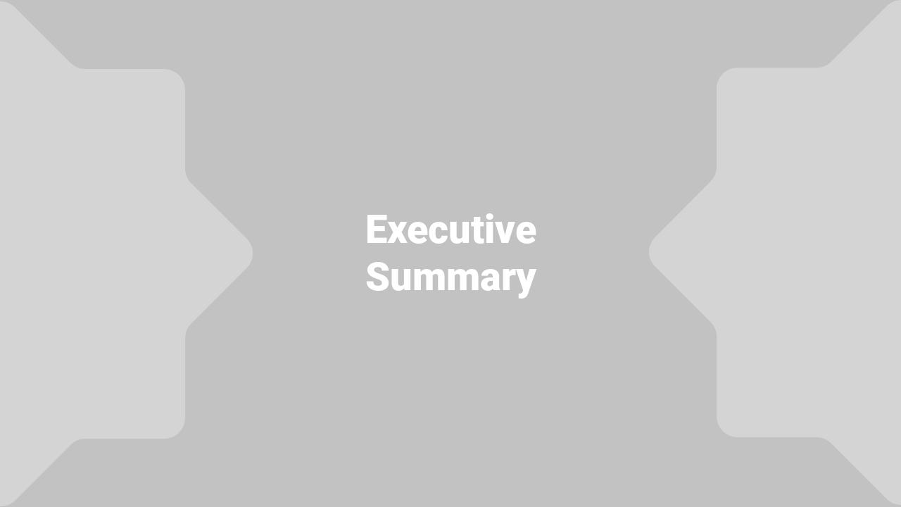 灰色商务家居市场营销方案-Executive Summary