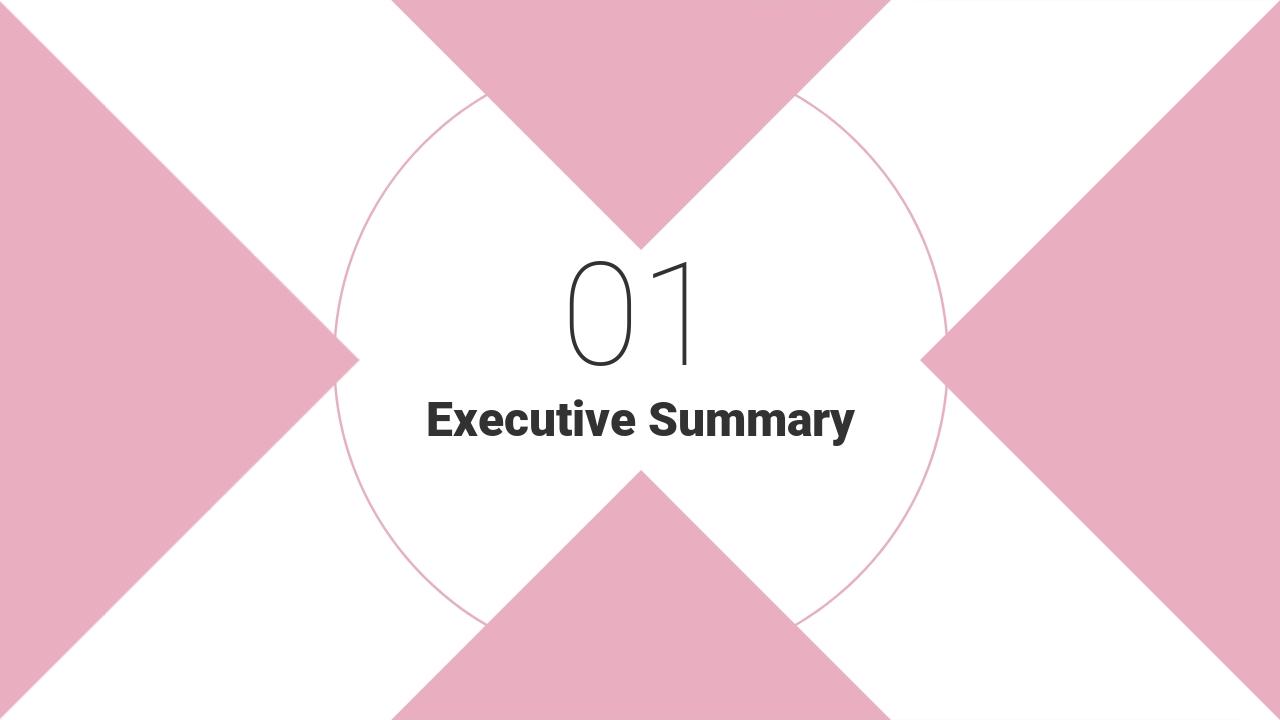 粉色ins风市场运营推广方案英文PPT模板-Executive Summary