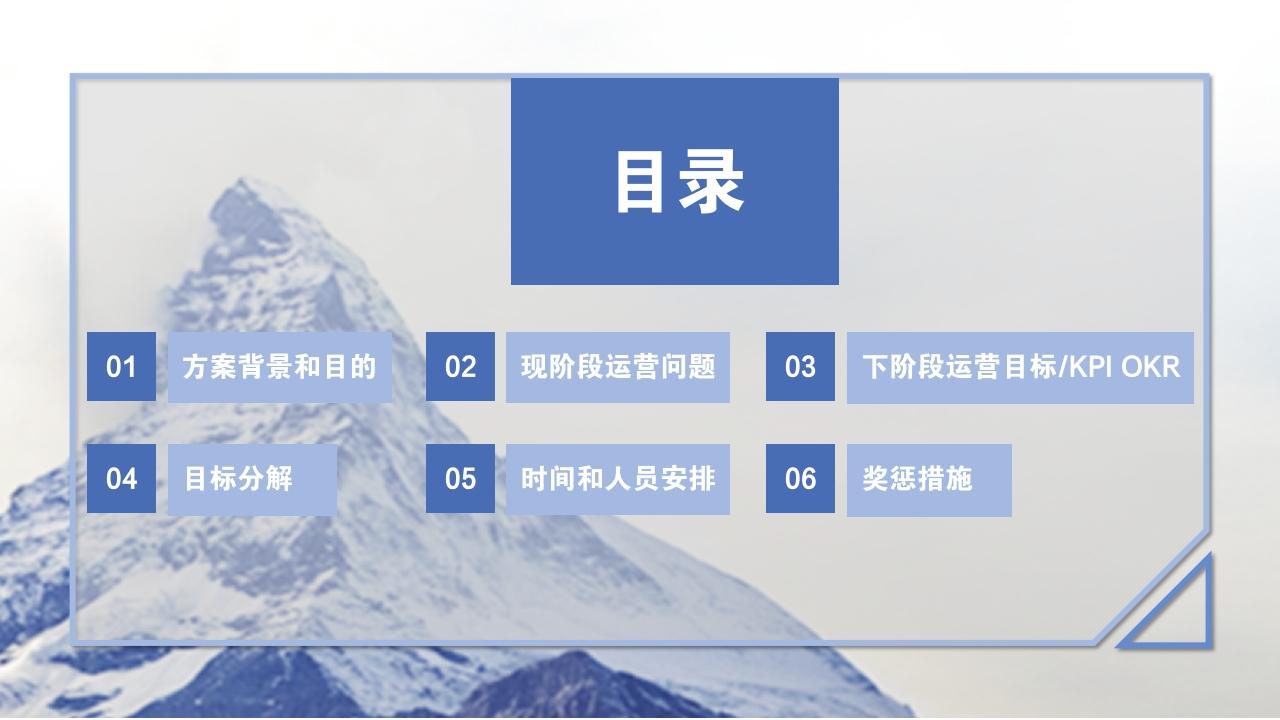 蓝色大气项目运营方案PPT模版-目录