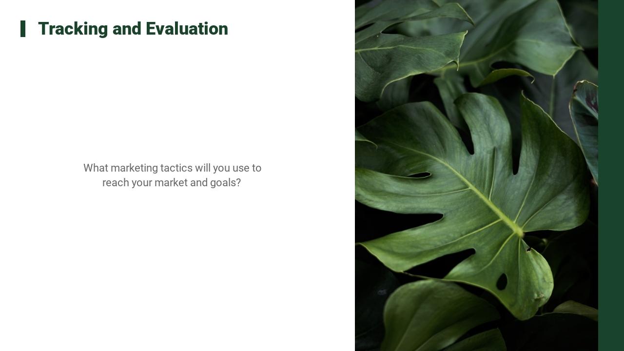 绿色植物市场运营策划英文PPT模板-Tracking and Evaluation