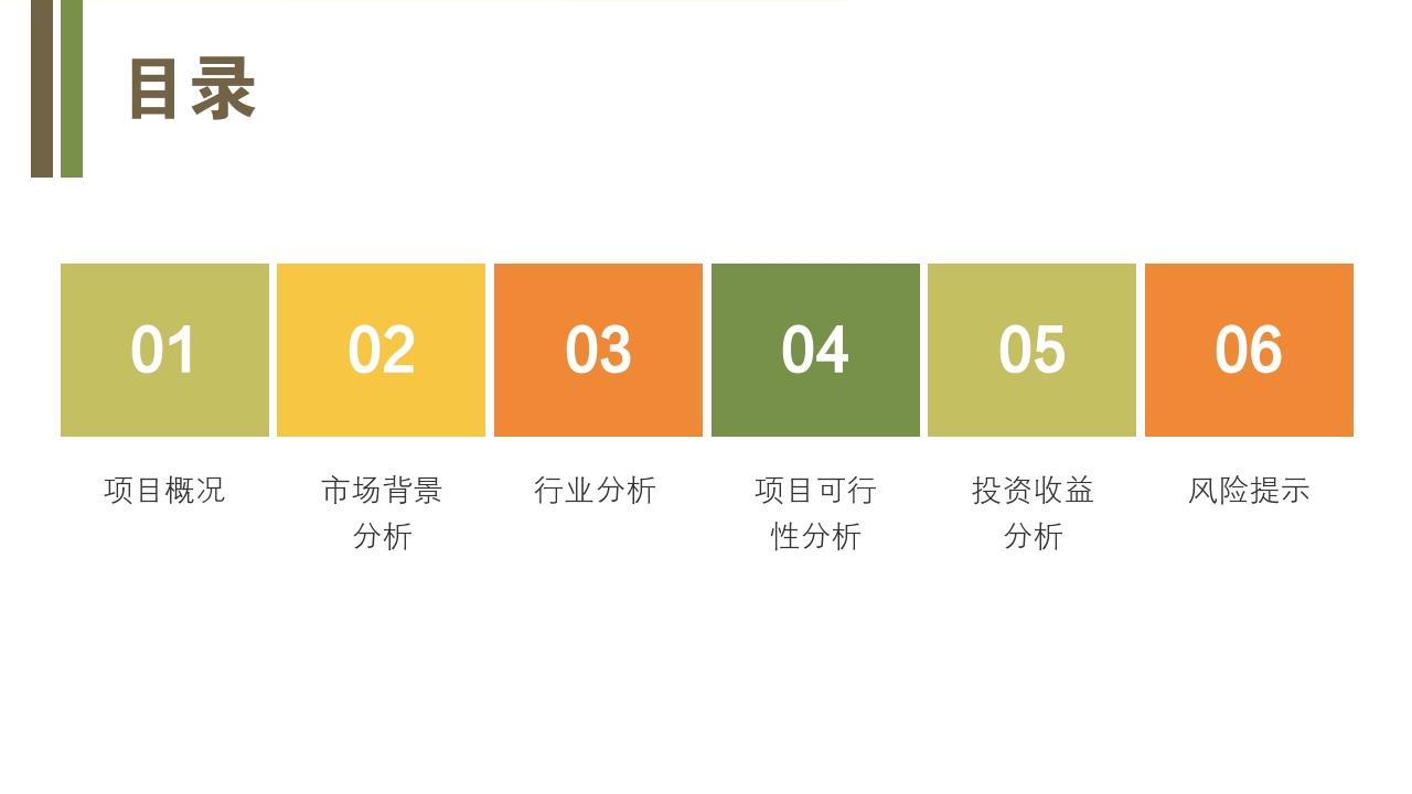 多彩缤纷项目可行性研究PPT模版-目录