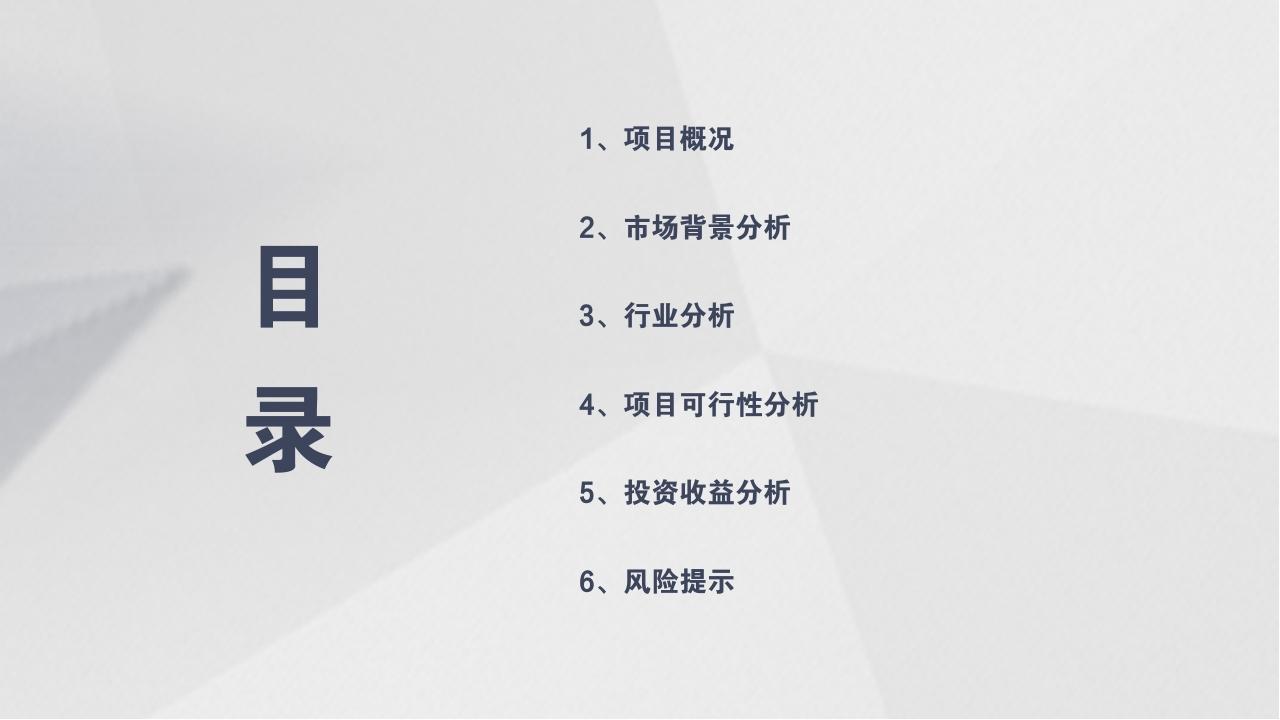 立体多边形项目可行性研究PPT模版-目录
