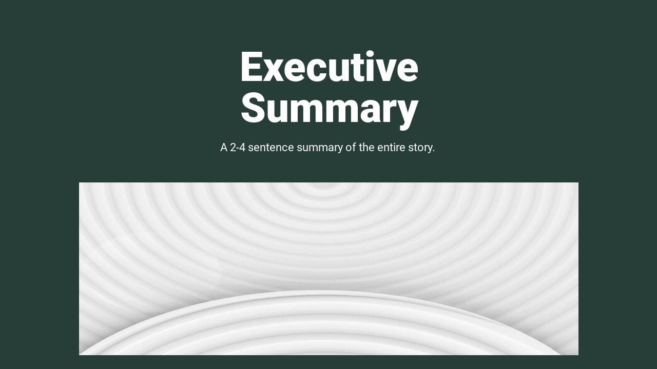 时尚品牌案例分析报告ppt模板-Executive Summary